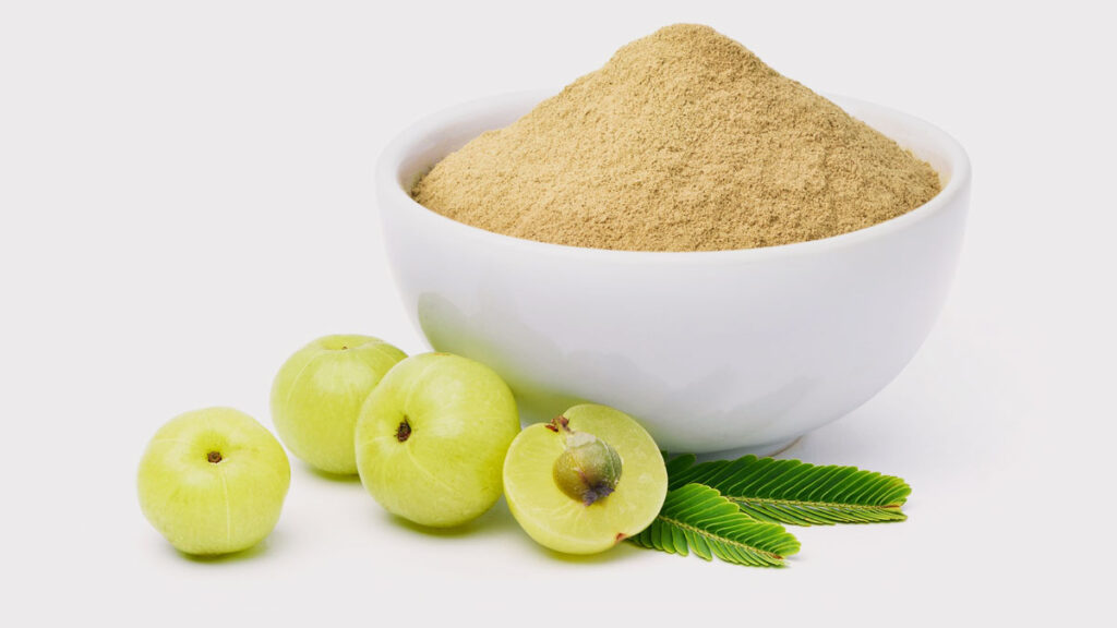 wellhealthorganic.com: amla-powder-uses-for-hair-and-others