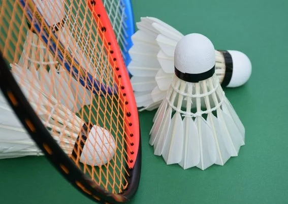 Badminton Shuttlecock